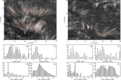 Chromospheric network and solar wind switchbacks