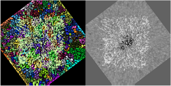 Sunspot decay observed with GST